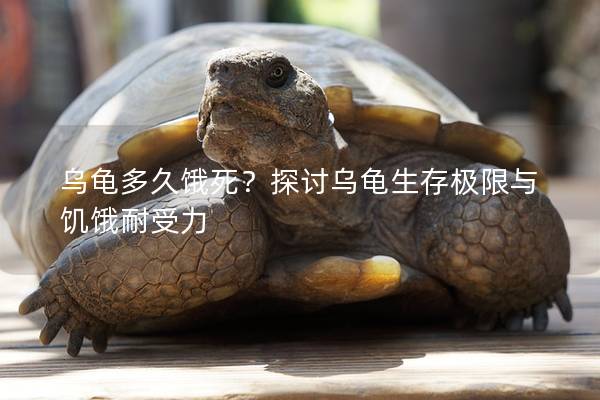 乌龟多久饿死？探讨乌龟生存极限与饥饿耐受力