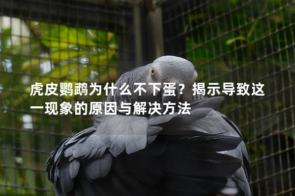 虎皮鹦鹉为什么不下蛋？揭示导致这一现象的原因与解决方法