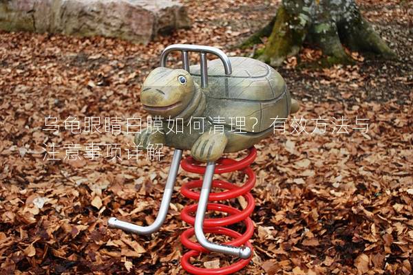 乌龟眼睛白膜如何清理？有效方法与注意事项详解