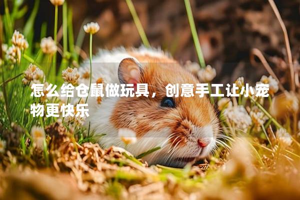 怎么给仓鼠做玩具，创意手工让小宠物更快乐