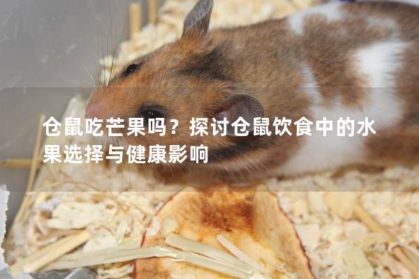 仓鼠吃芒果吗？探讨仓鼠饮食中的水果选择与健康影响