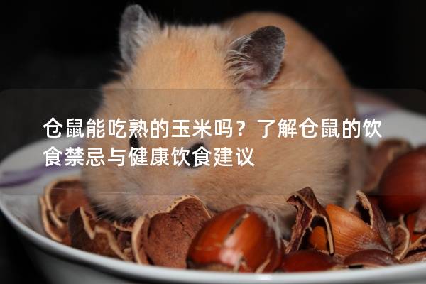 仓鼠能吃熟的玉米吗？了解仓鼠的饮食禁忌与健康饮食建议