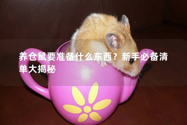养仓鼠要准备什么东西？新手必备清单大揭秘