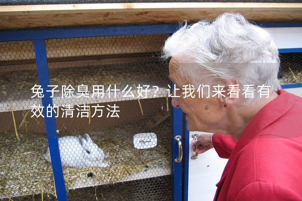 兔子除臭用什么好？让我们来看看有效的清洁方法