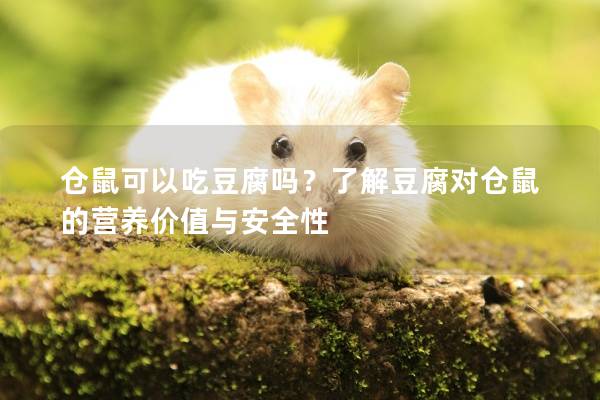 仓鼠可以吃豆腐吗？了解豆腐对仓鼠的营养价值与安全性