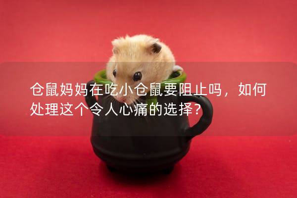 仓鼠妈妈在吃小仓鼠要阻止吗，如何处理这个令人心痛的选择？