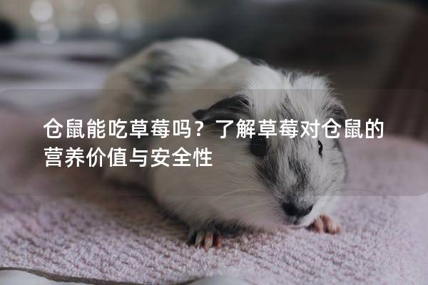 仓鼠能吃草莓吗？了解草莓对仓鼠的营养价值与安全性