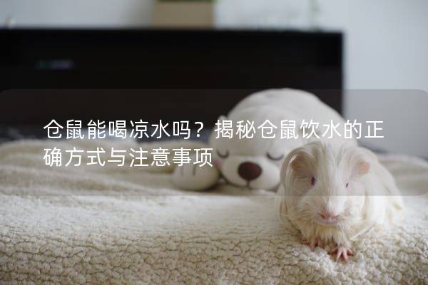 仓鼠能喝凉水吗？揭秘仓鼠饮水的正确方式与注意事项