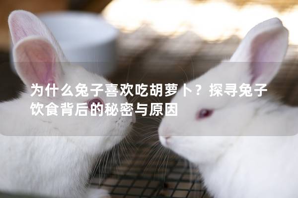 为什么兔子喜欢吃胡萝卜？探寻兔子饮食背后的秘密与原因