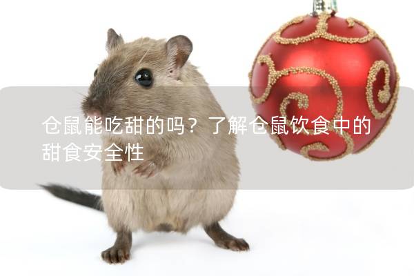 仓鼠能吃甜的吗？了解仓鼠饮食中的甜食安全性