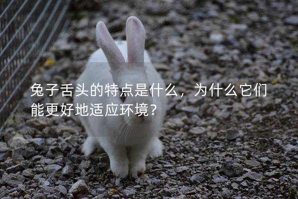 兔子舌头的特点是什么，为什么它们能更好地适应环境？
