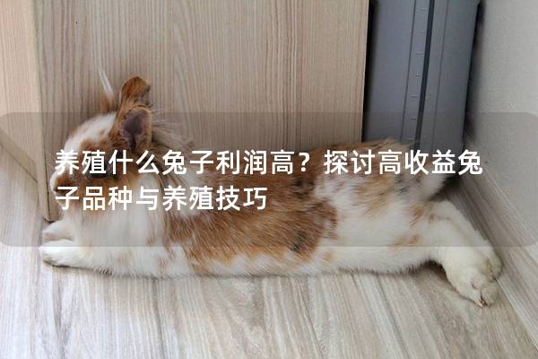 养殖什么兔子利润高？探讨高收益兔子品种与养殖技巧