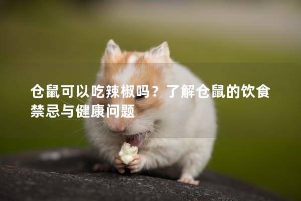 仓鼠可以吃辣椒吗？了解仓鼠的饮食禁忌与健康问题