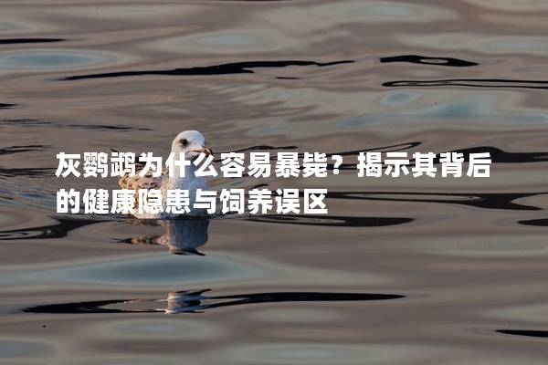 灰鹦鹉为什么容易暴毙？揭示其背后的健康隐患与饲养误区