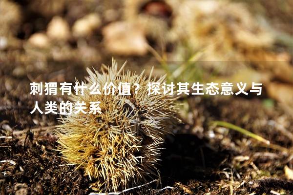 刺猬有什么价值？探讨其生态意义与人类的关系