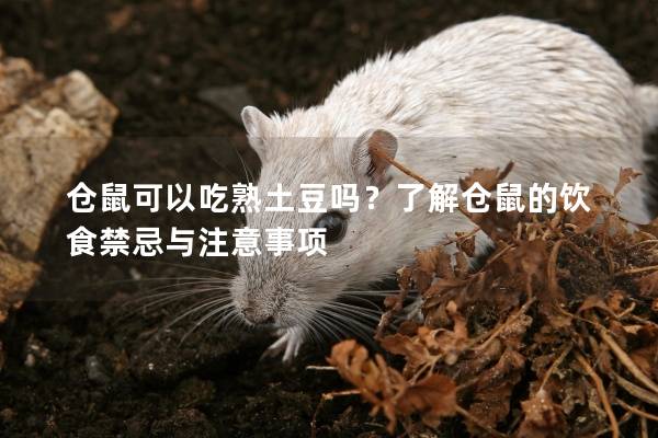 仓鼠可以吃熟土豆吗？了解仓鼠的饮食禁忌与注意事项
