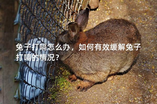 兔子打嗝怎么办，如何有效缓解兔子打嗝的情况？