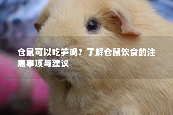 仓鼠可以吃笋吗？了解仓鼠饮食的注意事项与建议