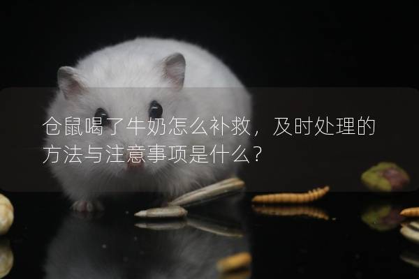 仓鼠喝了牛奶怎么补救，及时处理的方法与注意事项是什么？