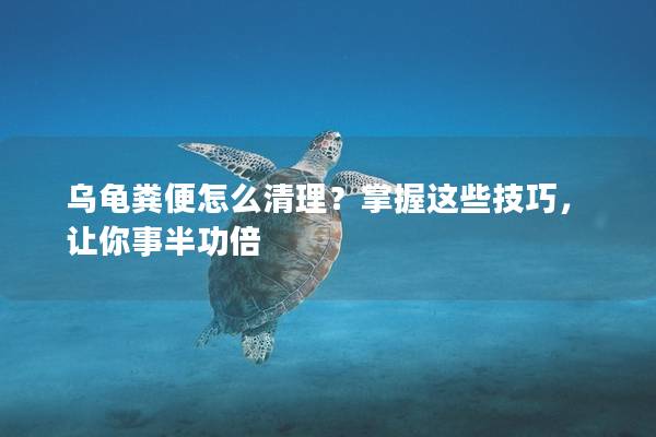 乌龟粪便怎么清理？掌握这些技巧，让你事半功倍