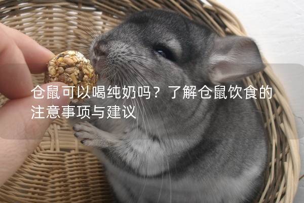 仓鼠可以喝纯奶吗？了解仓鼠饮食的注意事项与建议
