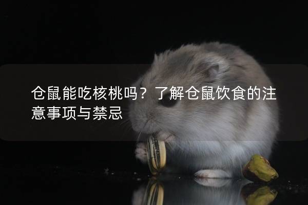 仓鼠能吃核桃吗？了解仓鼠饮食的注意事项与禁忌