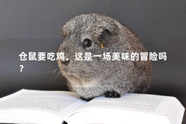 仓鼠要吃鸡，这是一场美味的冒险吗？