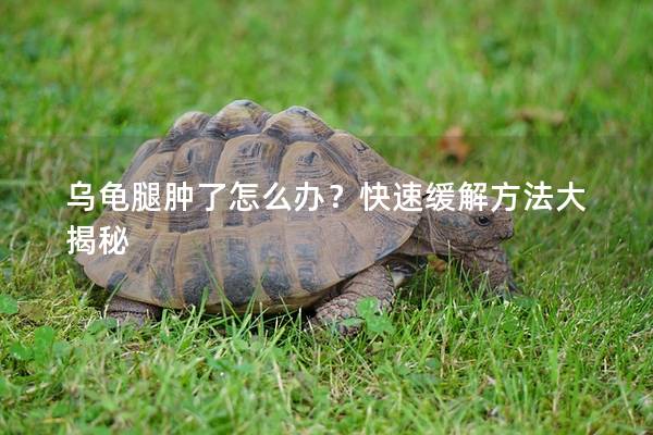 乌龟腿肿了怎么办？快速缓解方法大揭秘