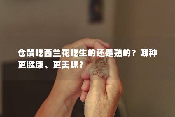 仓鼠吃西兰花吃生的还是熟的？哪种更健康、更美味？