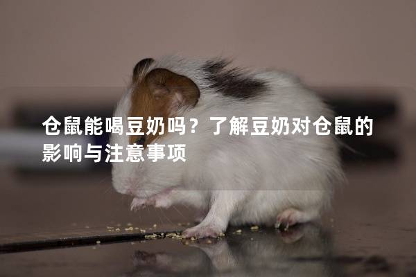 仓鼠能喝豆奶吗？了解豆奶对仓鼠的影响与注意事项