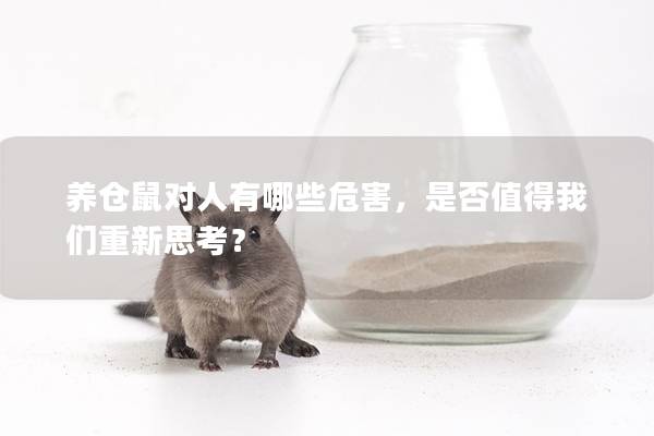 养仓鼠对人有哪些危害，是否值得我们重新思考？