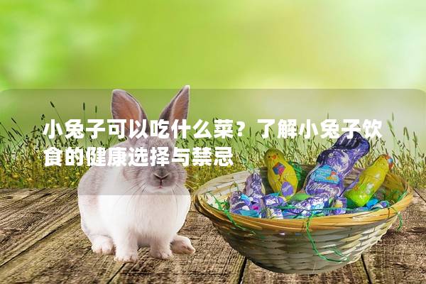 小兔子可以吃什么菜？了解小兔子饮食的健康选择与禁忌