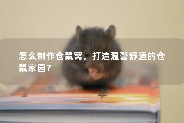 怎么制作仓鼠窝，打造温馨舒适的仓鼠家园？