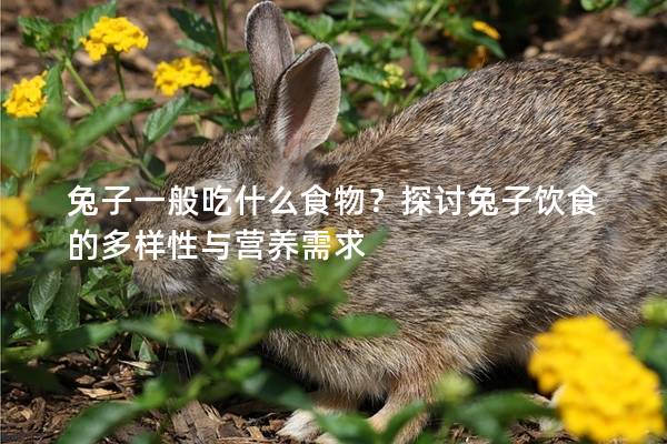 兔子一般吃什么食物？探讨兔子饮食的多样性与营养需求