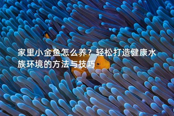 家里小金鱼怎么养？轻松打造健康水族环境的方法与技巧