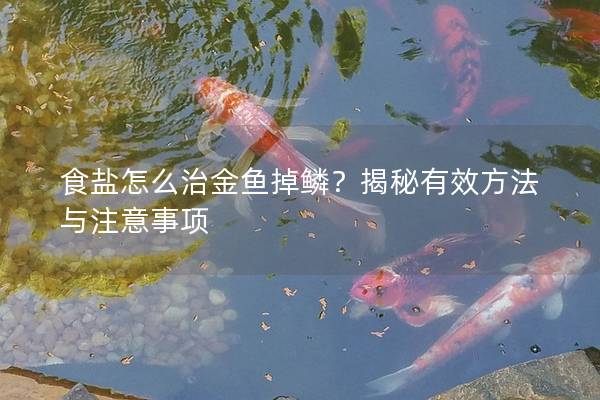 食盐怎么治金鱼掉鳞？揭秘有效方法与注意事项