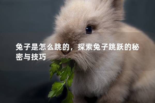 兔子是怎么跳的，探索兔子跳跃的秘密与技巧