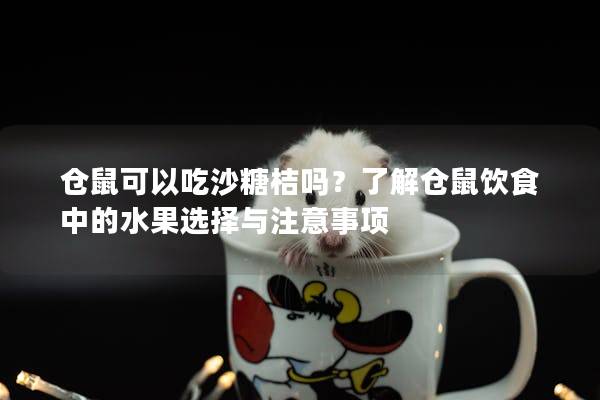 仓鼠可以吃沙糖桔吗？了解仓鼠饮食中的水果选择与注意事项