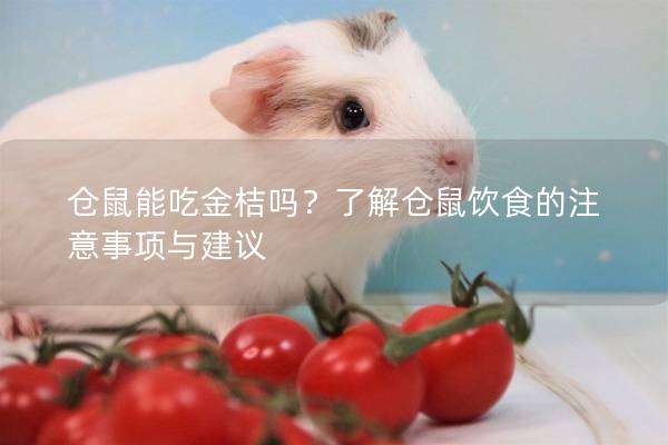 仓鼠能吃金桔吗？了解仓鼠饮食的注意事项与建议