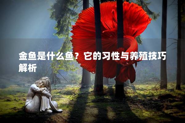 金鱼是什么鱼？它的习性与养殖技巧解析