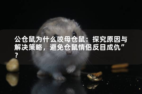 公仓鼠为什么咬母仓鼠：探究原因与解决策略，避免仓鼠情侣反目成仇”？