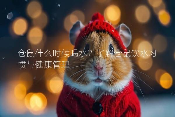 仓鼠什么时候喝水？了解仓鼠饮水习惯与健康管理