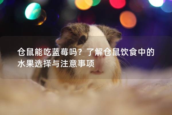 仓鼠能吃蓝莓吗？了解仓鼠饮食中的水果选择与注意事项