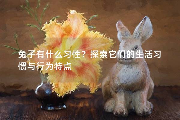 兔子有什么习性？探索它们的生活习惯与行为特点