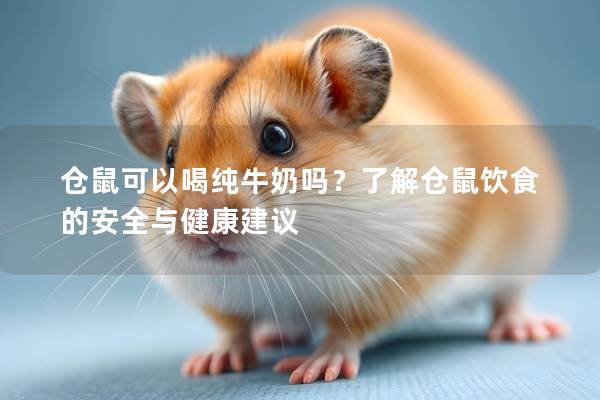 仓鼠可以喝纯牛奶吗？了解仓鼠饮食的安全与健康建议