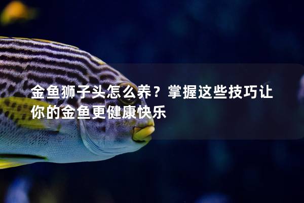 金鱼狮子头怎么养？掌握这些技巧让你的金鱼更健康快乐