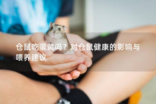 仓鼠吃蛋黄吗？对仓鼠健康的影响与喂养建议