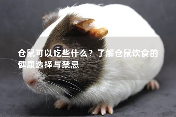 仓鼠可以吃些什么？了解仓鼠饮食的健康选择与禁忌