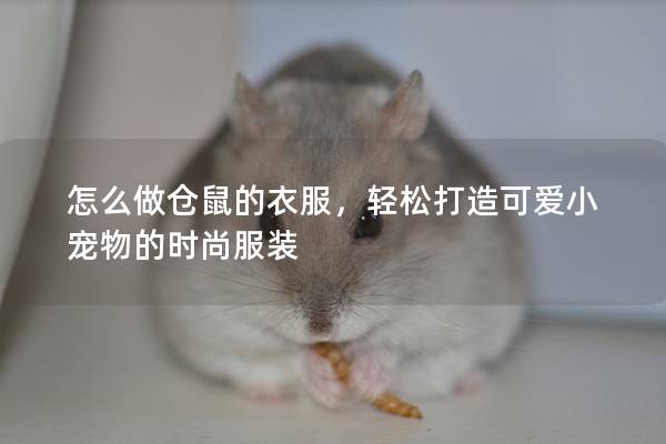 怎么做仓鼠的衣服，轻松打造可爱小宠物的时尚服装