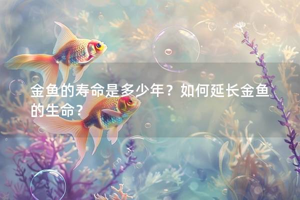 金鱼的寿命是多少年？如何延长金鱼的生命？